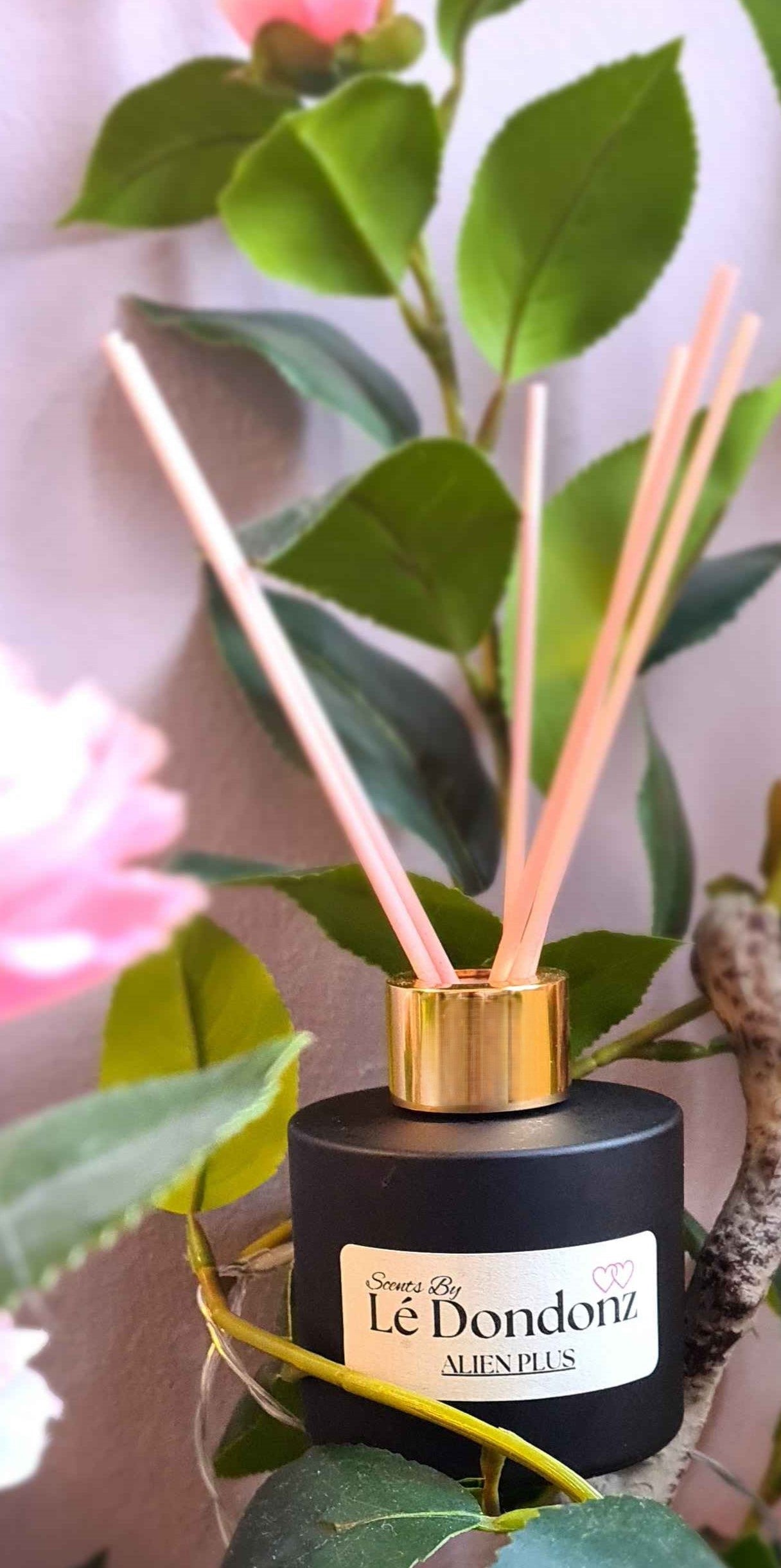 REED DIFFUSERS