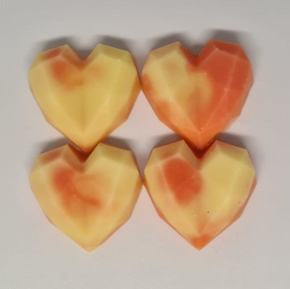 CITRUS FRESH  - WAX MELTS Lé Dondonz