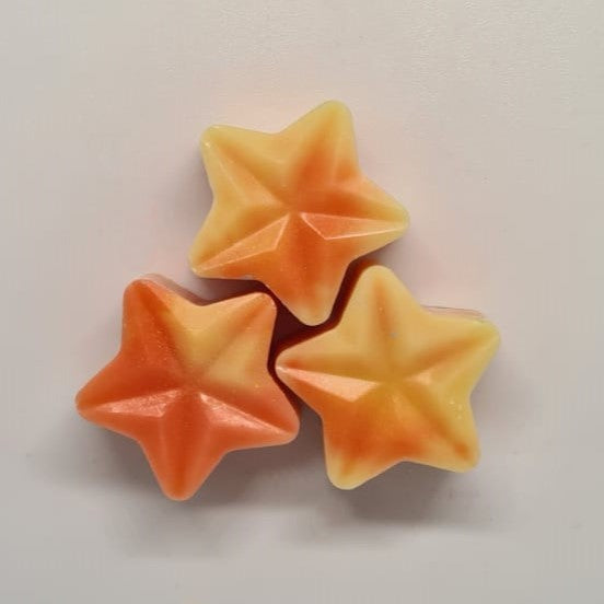 CITRUS FRESH  - WAX MELTS Lé Dondonz